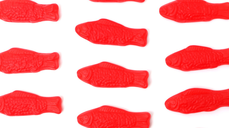 rows of Swedish Fish