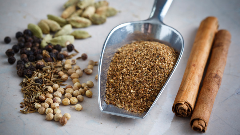 Mini scoop of garam masala with some whole spices on white surface