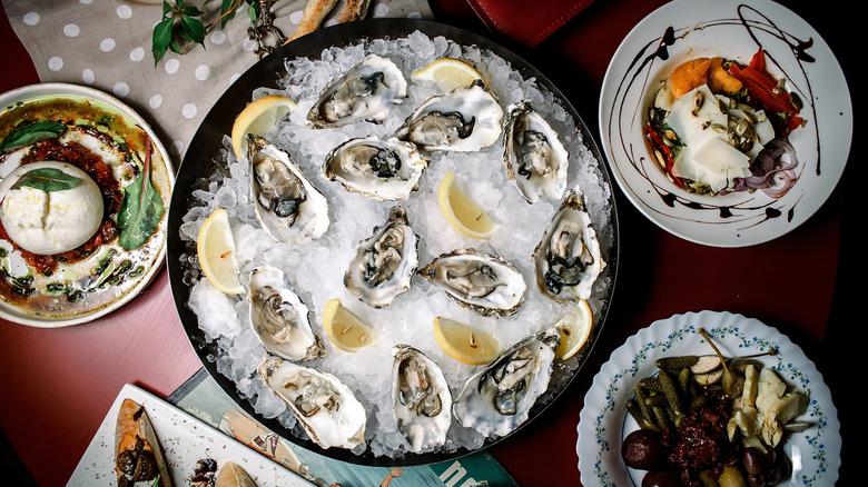 Oysters, mussels, clams, mollusks