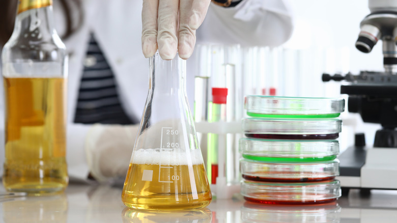 scientific measurement of beer with a flask and microscope and petri dishes