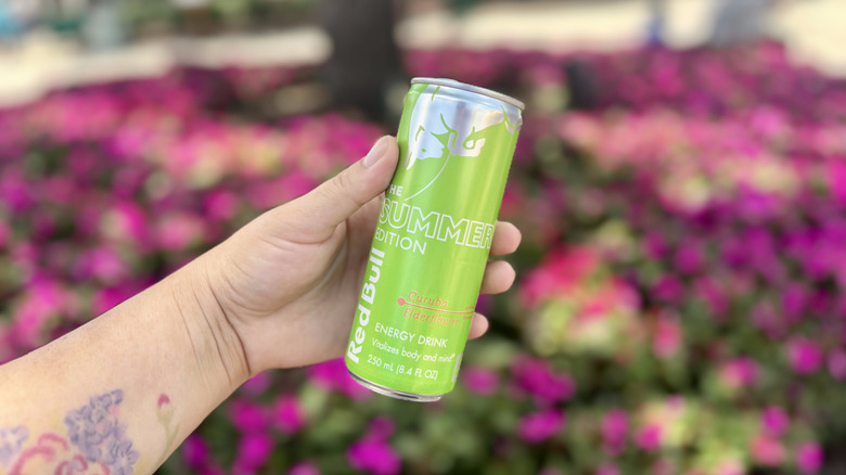 sunlit Summer Edition Red Bull