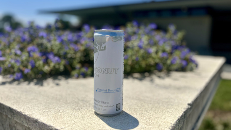 coconut Red Bull on planter