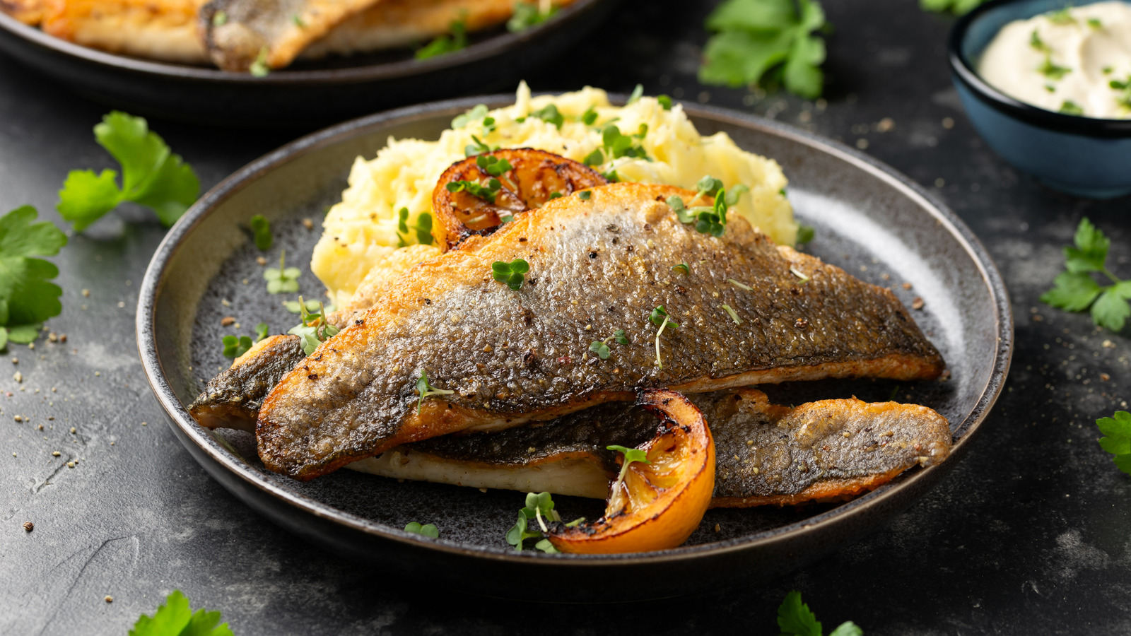 Looking To Buy White Fish? Read Up On These Red Flags Before Choosing Sea Bass