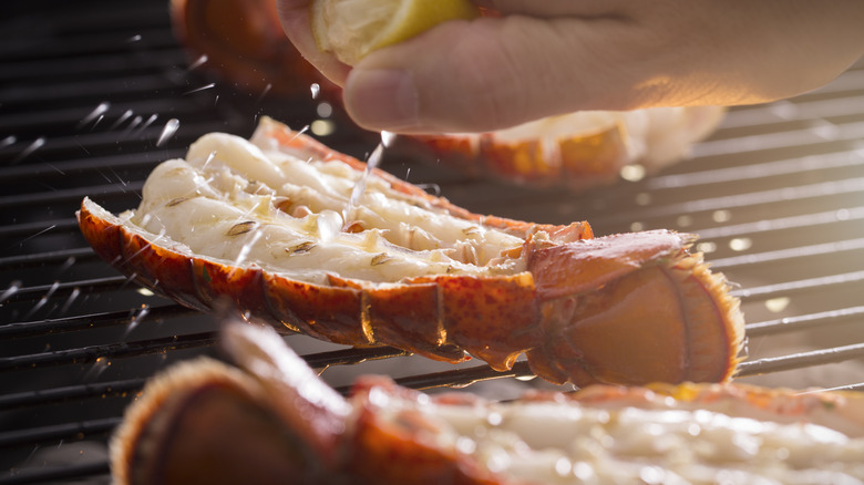 wood-fire grilled lobster tails