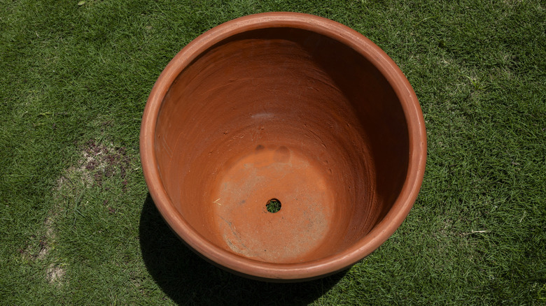 terracotta planter with a drainage hole