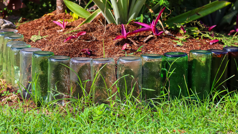 Raised garden bed using glass bottles