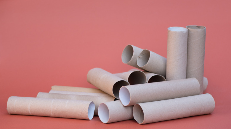 Assortment of paper towel rolls