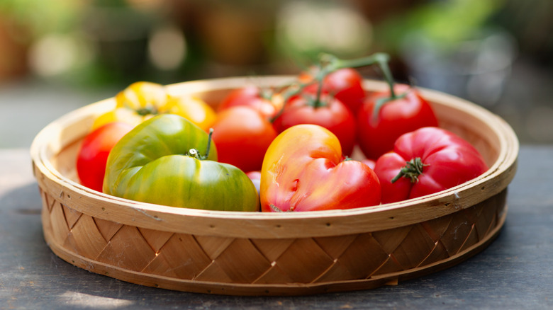 Basket of heirloom tomatoes
