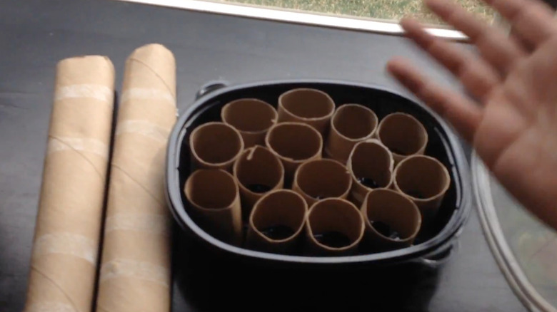 Seed starting in a rotisserie chicken container