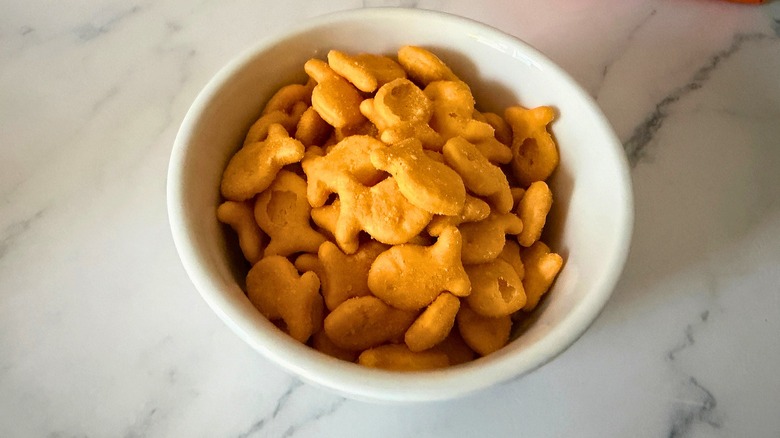 Close-up of Goldfish in white cup on marble surface