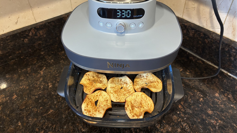 Apple chips in a Ninja air fryer basket