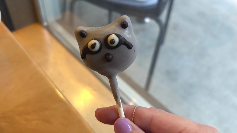 Close-up of Starbucks Raccoon Cake Pop