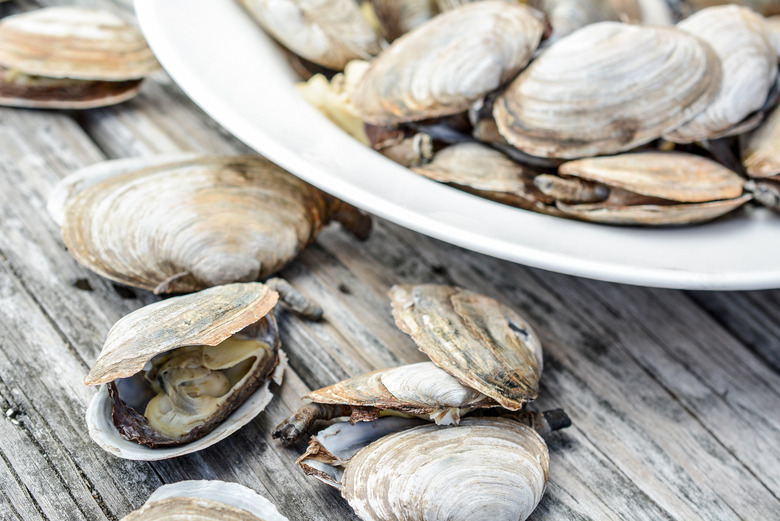 Best Rhode Island Clam Shacks
