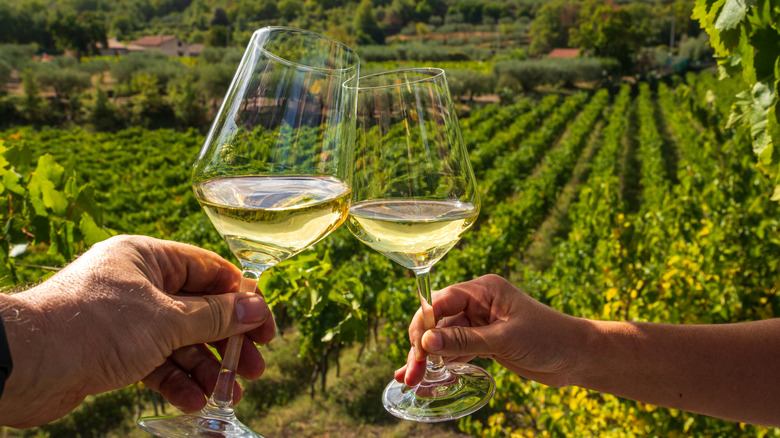 Two hands holding white wine glasses for a toast in a vineyard