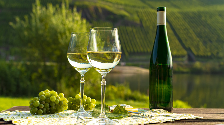 A classic riesling wine bottle with two glasses  and grapes in a German vineyard