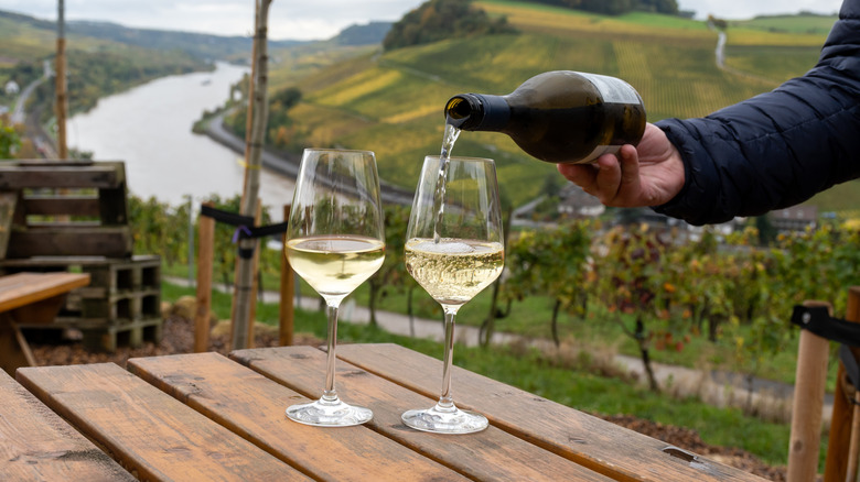 A glass of Riesling is poured in the Rhine valley