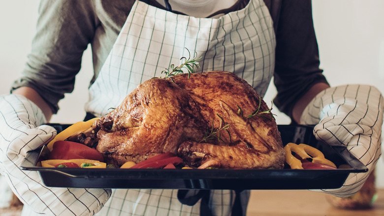 person holding pan with roasted turkey 