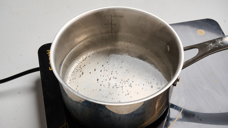 boiling water in a pot