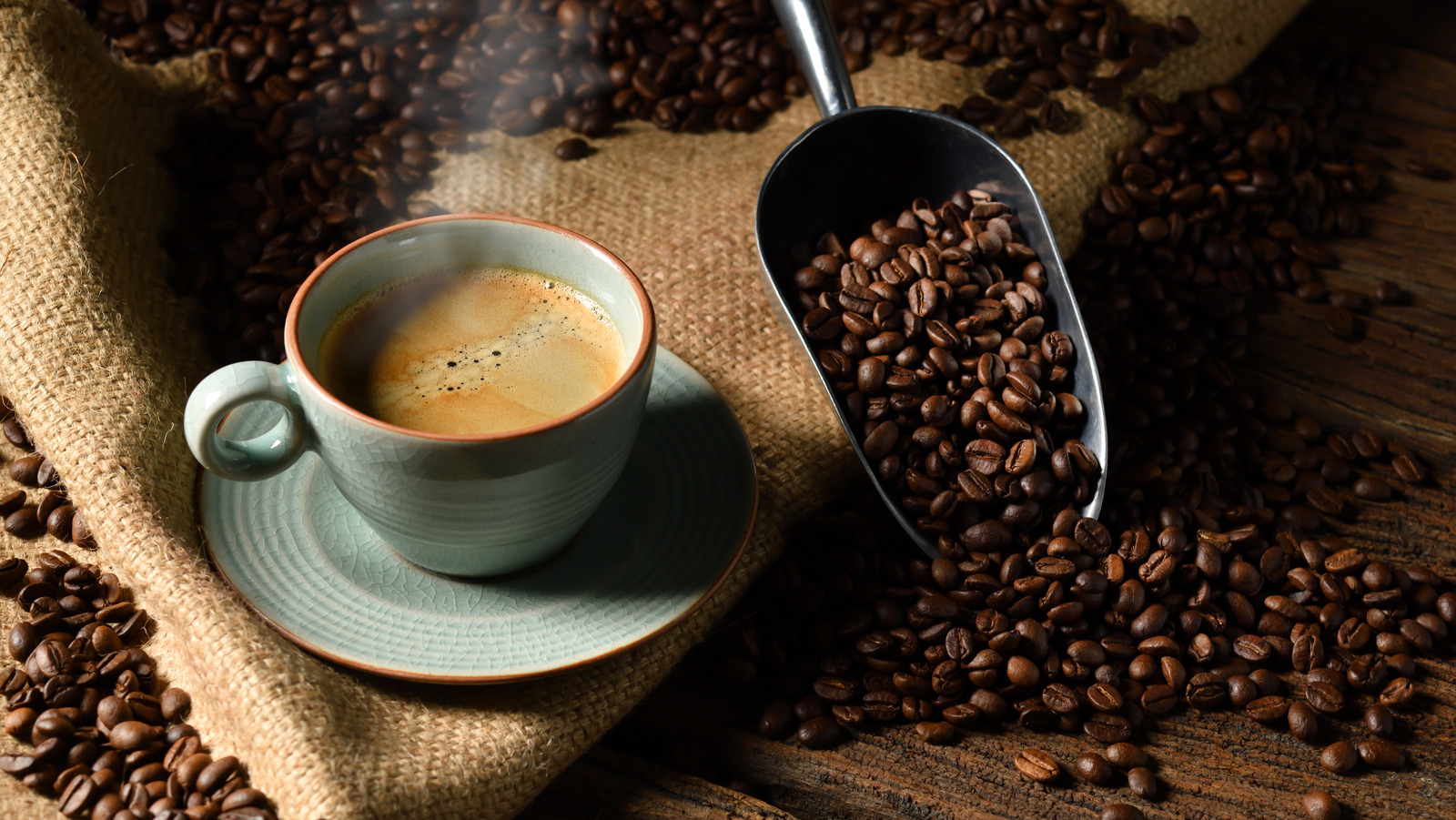 10 oz coffee cups with lids bulk Disposable Coffee Cups with Lids Bulk
