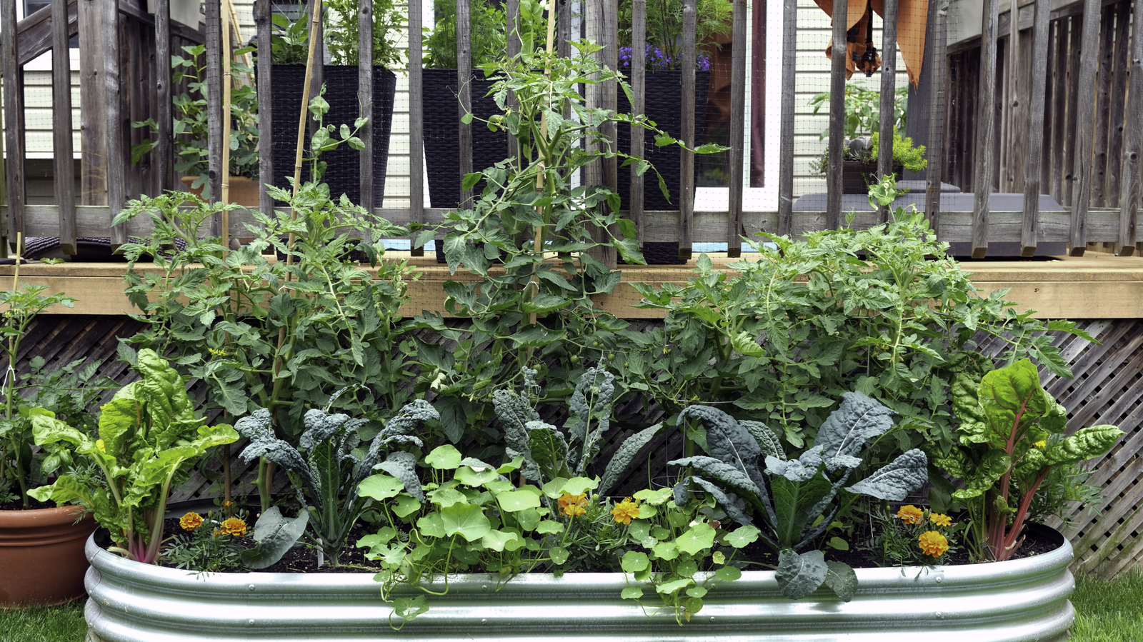 Safeguard Your Vegetables Against Weeds With One Simple Technique