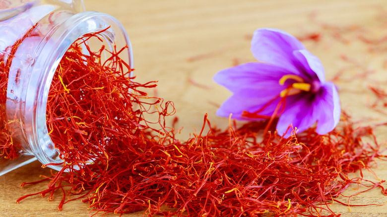Saffron stigmas with crocus flower
