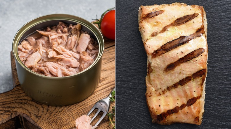 Split image of canned tuna and grilled salmon.