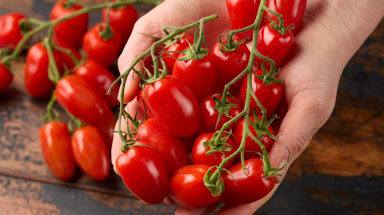 San Marzano tomatoes