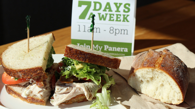 A turkey sandwich from Panera Bread cut in half on a white plate