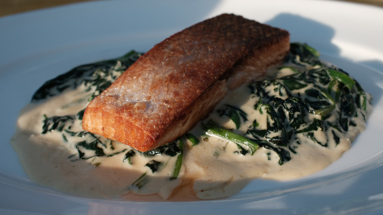 Fried salmon fillet atop creamed spinach
