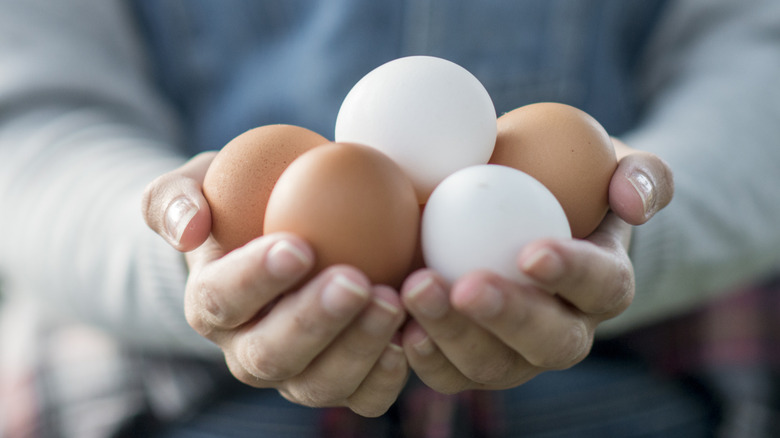 person holding eggs in cupped hands
