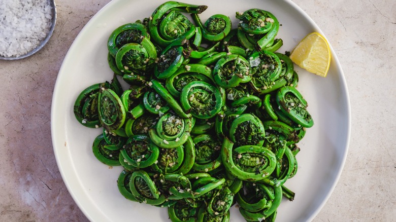 Fiddlehead ferns on plate