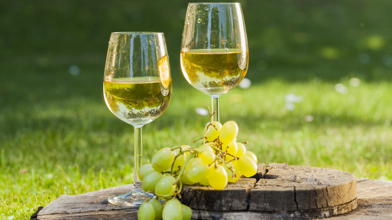Two glasses of white wine al fresco with fresh grape bunch