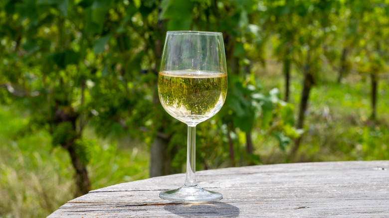 A glass of white wine on a table in vineyard.
