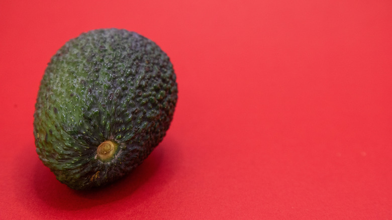 Single avocado on brown background