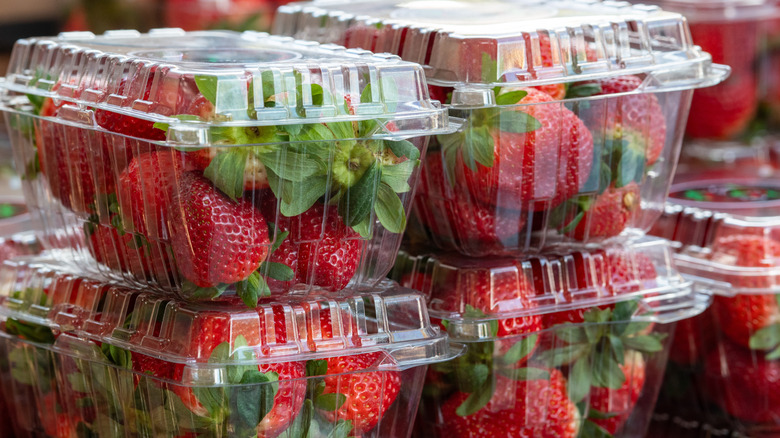 Fresh strawberries in plastic clamshells at the grocery store