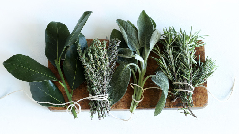 An assortment of bundles of fresh, leafy green herbs wrapped in twine