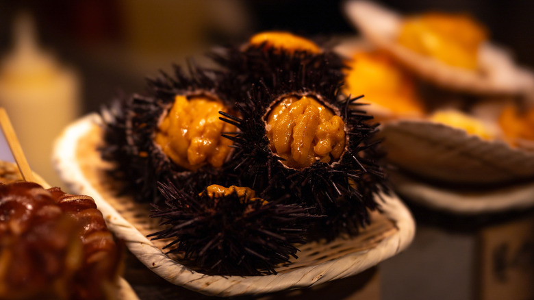 Sea urchin