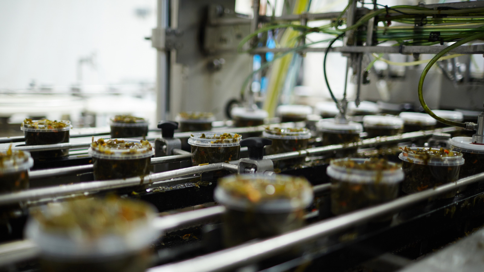 Seaweed Could Be The Key To Making Fresh Produce Last Longer Without Plastic - Tasting Table