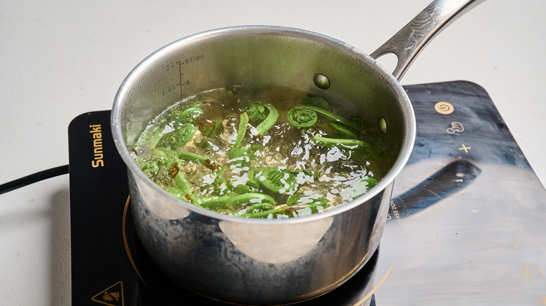 boiling fiddleheads in a pot of water