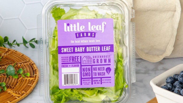 Little Leaf Farms sweet baby butter leaf lettuce in a plastic package on a worktop