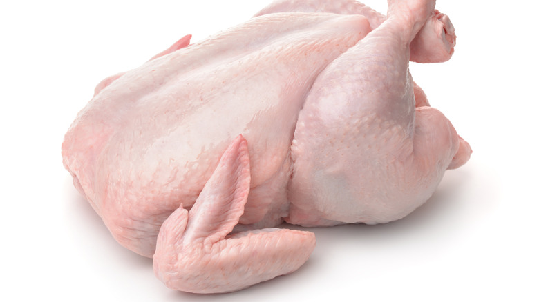 Whole raw chicken on white background