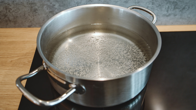 steel pot coming to a boil on an induction cooktop