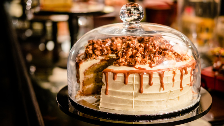 Cake on a serving plate under a dome