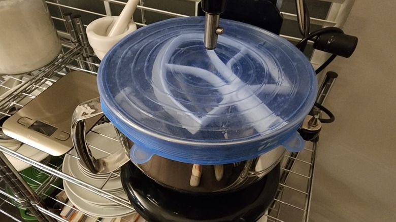 Stretchy blue silicone lid on large bowl