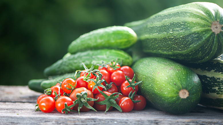 Harvest of fresh zucchini, cucumbers, and tomatoes