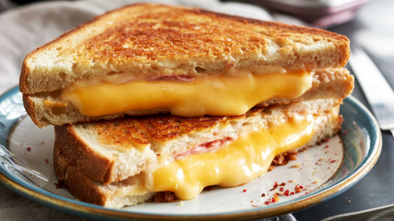 plate with grilled cheese sandwich