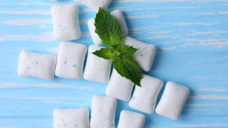 A close up of squares of chewing gum topped with a mint sprig