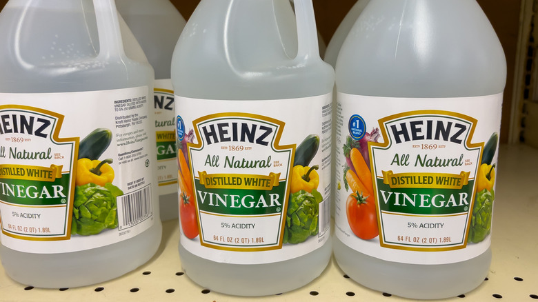 Jugs of Heinz white vinegar for sale at store