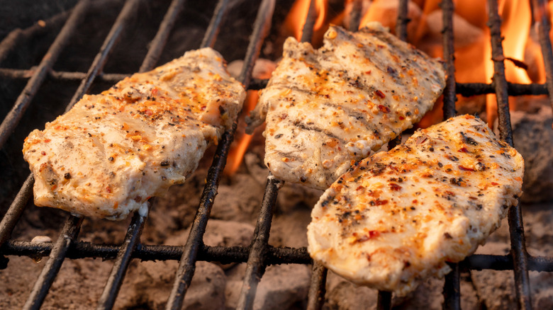 grilled chicken breasts