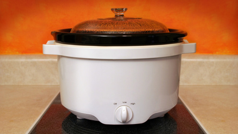 https://www.tastingtable.com/img/gallery/slow-cooker-crock-pot-difference/intro-1691678490.jpg